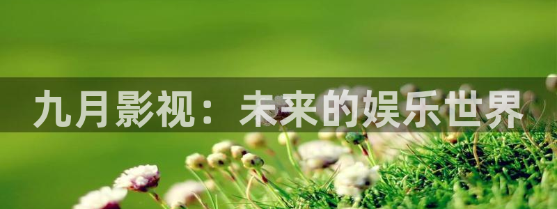 南瓜电影软件电脑南瓜电影软件