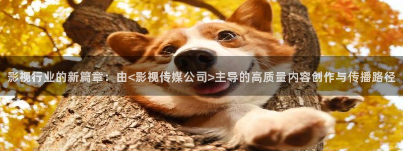 南瓜影视在线看：影视行业的新篇章：由<影视传媒公司>主导的高质量内容创作与传播路径