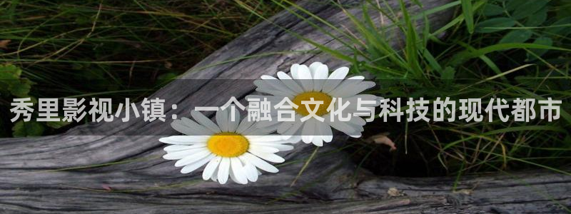 南瓜南阳：秀里影视小镇：一个融合文化与科技的现代都市