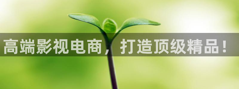 南瓜瓜